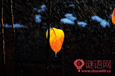 苦雨初霁阅读答案 翻译 赏析