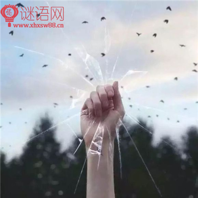 2016����ϸ߿���������