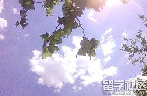 大暑祝福语""