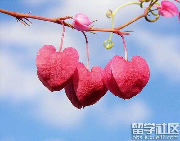 早安心语温暖语句""