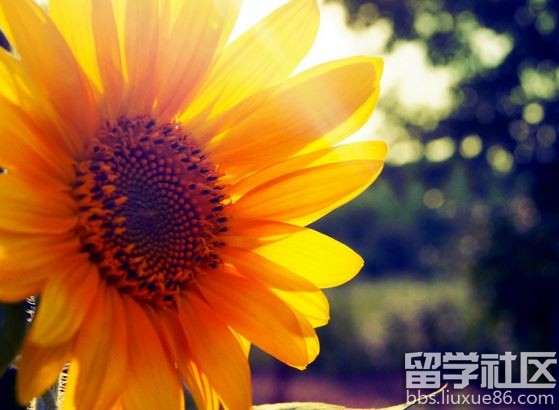 �簲�������������""