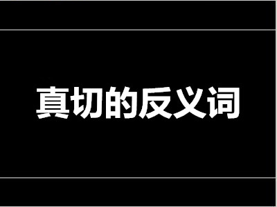 真切的反义词