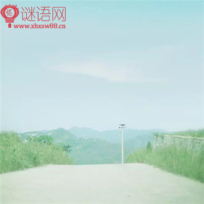 南柯子忆旧阅读答案