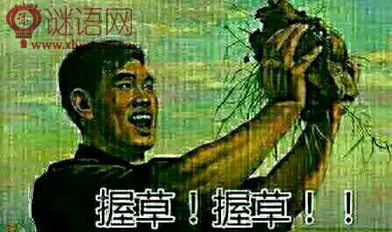 ���˲�Ҫ���ĺݻ�