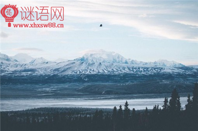 江村即事阅读答案