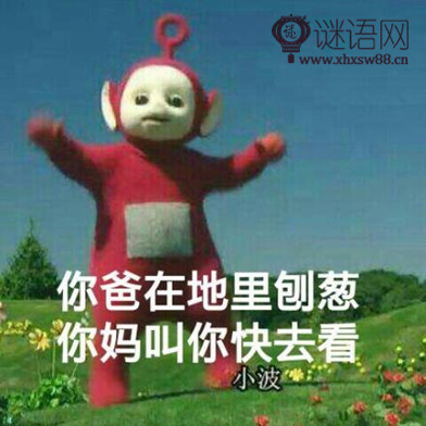 ������ݵĻ���������