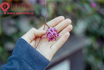 企业发展口号大全