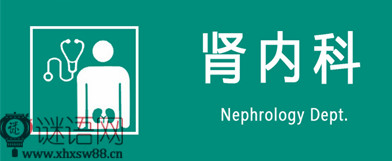 肾内科医生年终总结