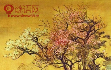 ��筴� Խɽ��÷�Ķ�������