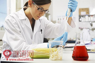 关于实验室的标语