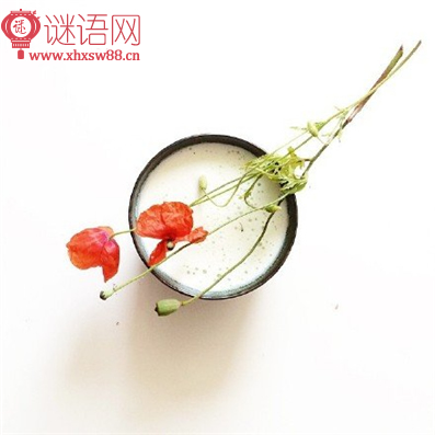 鹧鸪天赏荷阅读答案