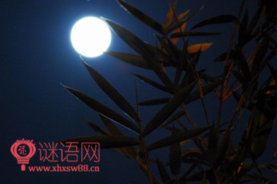 水调歌头中秋米芾答案翻译