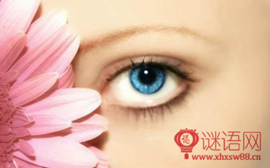 �ۿ�������ںŴ�ȫ