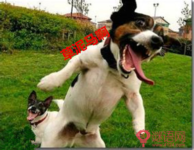 ���˵Ļ�Խ��Խ����������ܿ�