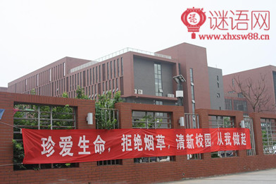学校条幅标语_横幅标语大全