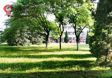 ����У԰�����ı���_������ɫУ԰�ں�