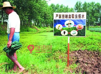 学校血防工作计划