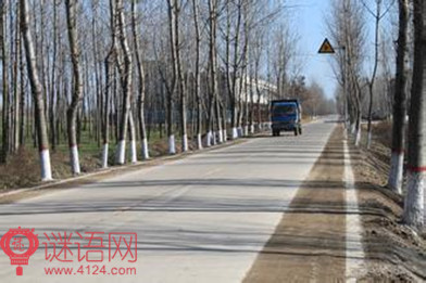 农村道路交通安全标语2