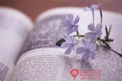 班级团支部工作计划