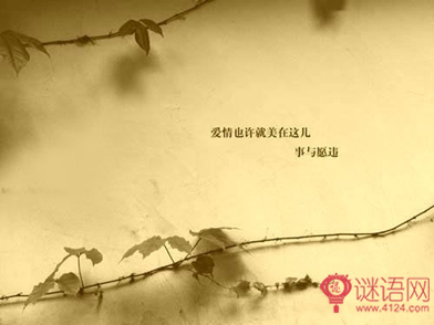 淡淡忧伤的句子女生累了