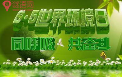 2015���绷���տں� 