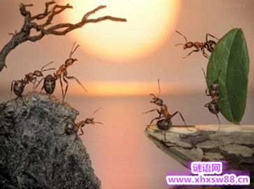 ���˵Ļ���ȫ ��ɱ�Է������˻�  