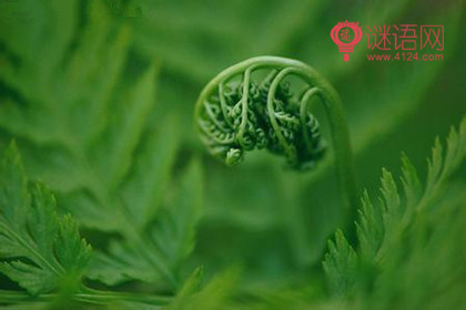 初二上生物教学计划