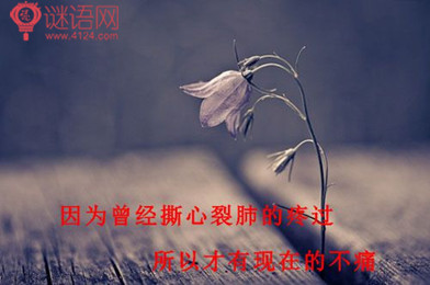 �˸�˵˵�ĺ�����2
