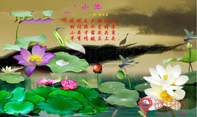 小池 杨万里古诗