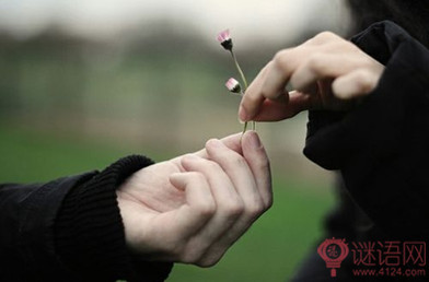 一个人孤单的句子