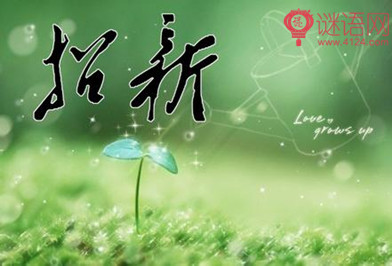学生会部长工作计划
