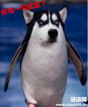 qq����ǩ����ק����