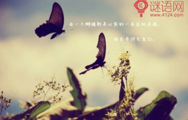 �˸еľ��ӣ����Ϊ������4