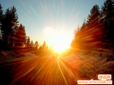 2014Сѧ��ʦ��ȿ��˸��˹����ܽ�