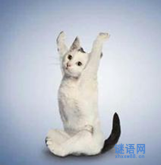 ����˵ĸ���ǩ��