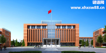 教育实习班主任工作总结