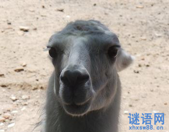 经典骂人短语大全2014