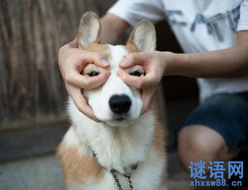 �������˴����ֵĻ�2014