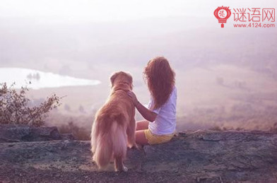 �˸о��� ��������ʯ��