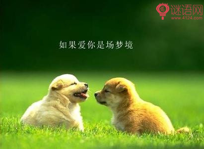 让老婆老公感到浪漫幸福的个性签名