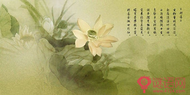 Ӫ�ݸ� ����