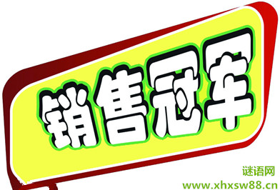 销售试用期工作总结范文