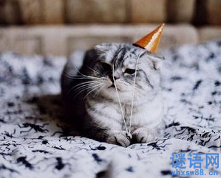 2014�����˲������ֵĺݻ�