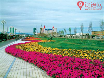 市容环境整治行动宣传标语
