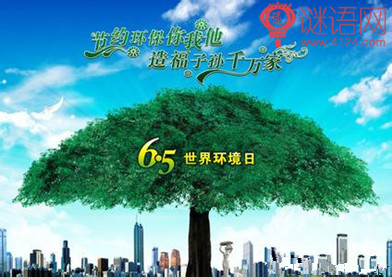  2015�����绷������������