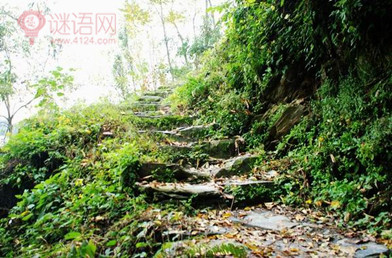 落叶送陈羽