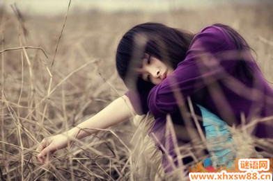 2014�ഺ�˸о���