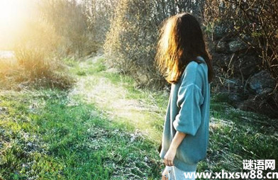�˸еĻ������� �ж�