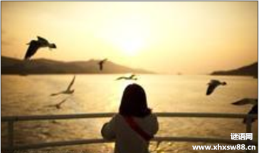 �ҵ��ഺ�����㣬û�а���Ҳ����