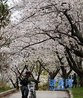 伤感思念的句子